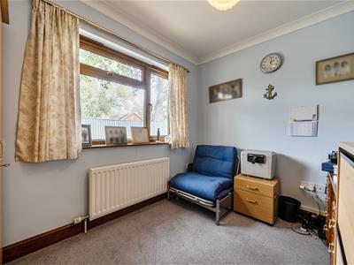 Picture 16